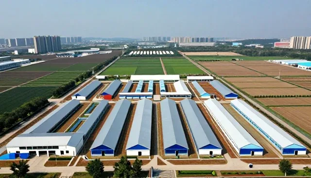 性能与适用条件下的产品设计关键考量